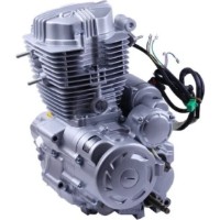 Motor pe benzina TATA MD-025