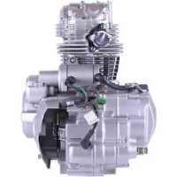 Motor pe benzina TATA MD-029 imaginea #4 — magazin online Desire.md