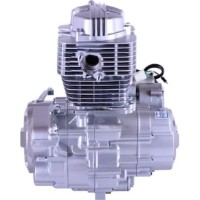 Motor pe benzina TATA СG 200CC imaginea #2 — magazin online Desire.md