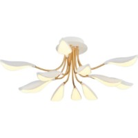 Потолочный светильник Ozcan Black 4060-12A