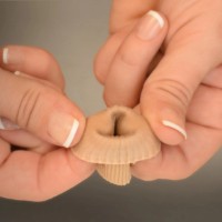 Inel de protectie pentru deget Prim CG1201 SM imaginea #3 — magazin online Desire.md