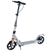 Trotinetă ChiToys Gray (486631)