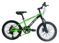 Bicicletă copii ChiToys Green 20' (GI-9/1 verde)
