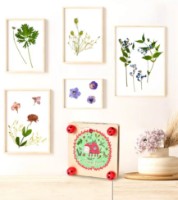 Набор для творчества Mideer Flower Press (MD0071) фото №7 — интернет-магазин Desire.md