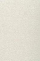 Tapete ARTE Flamant Les Unis 40004