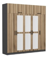 Dulap Trendy Kale 5303 Anthracit/Dore 225x255x52cm GTR004616 imaginea #3 — magazin online Desire.md