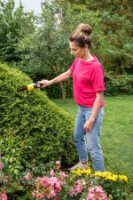 Кусторез аккумуляторный Karcher GSH 4-4 (1.445-321.0) фото №3 — интернет-магазин Desire.md