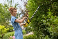 Mașina de tuns gard viu cu acumulator Karcher HGE 3-18 (1.445-610.0) imaginea #3 — magazin online Desire.md