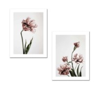 Pictură Trendy 2P3040MDFCIZ-001 imaginea #2 — magazin online Desire.md