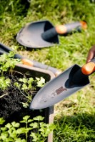 Echipamente de curățare Master Garden RN3550 imaginea #2 — magazin online Desire.md