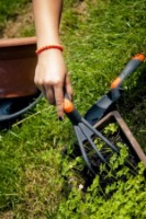 Echipamente de curățare Master Garden RN3550 imaginea #3 — magazin online Desire.md