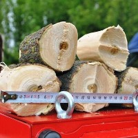 Tocător de frunze și crengi Tehno MS Ms-80 (58926) imaginea #3 — magazin online Desire.md