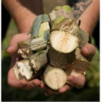 Tocător de frunze și crengi Tehno MS Ms-80 PTO (00001433) imaginea #2 — magazin online Desire.md