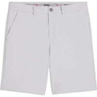 Pantaloni scurți pentru bărbați Puma 101 Pure 8 Platino Gray, s.33 imaginea #1 — magazin online Desire.md