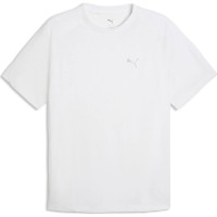 Мужская футболка Puma Evostripe Puma White, s.XXL (69218902) фото №1 — интернет-магазин Desire.md