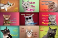 Puzzle Trefl 1500pcs (26212)