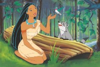 Puzzle Trefl 40th Aniversary: Pocahontas 600pcs (37605)