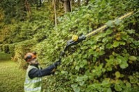 Кусторез аккумуляторный DeWalt DCMPH566N фото №2 — интернет-магазин Desire.md