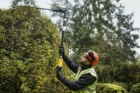 Кусторез аккумуляторный DeWalt DCMPH566N фото №3 — интернет-магазин Desire.md