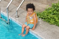 Жилет для плавания Fisher Price 93521 фото №5 — интернет-магазин Desire.md