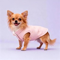 Geacă pentru câini Record Sofi Waterproof Pink XS 30cm (2121.30F) imaginea #2 — magazin online Desire.md