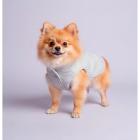 Geacă pentru câini Record Sofi Waterproof Grey XS 30cm (2121.30Y) imaginea #2 — magazin online Desire.md