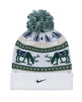 Căciulă Nike Peak Winter Wonderland Sail/Fir/Midnight Navy