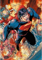 Puzzle Trefl DC 1000pcs (10936)