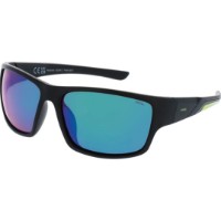 Ochelari de soare Invu A2304C
