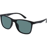 Ochelari de soare Invu B2321A