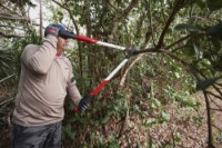 Foarfecă de gradină Milwaukee 4932498625 imaginea #4 — magazin online Desire.md