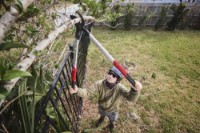 Foarfecă de gradină Milwaukee 4932498625 imaginea #6 — magazin online Desire.md