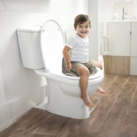 Colac WC pentru copii Dolu Gray (7190) imaginea #3 — magazin online Desire.md