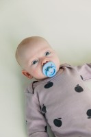 Пустышка BIBS Mushroom/Breeze 6-18m 2pcs (5713795269631) фото №3 — интернет-магазин Desire.md