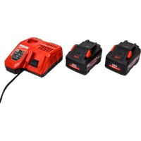 Комплект зарядного устройства+2 батареи Milwaukee M18 FORGENRG-802 (4933498612) фото №2 — интернет-магазин Desire.md