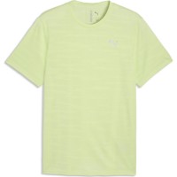 Мужская футболка Puma Pwrtrain Jacquard Apple Spritz, s.XL фото №1 — интернет-магазин Desire.md