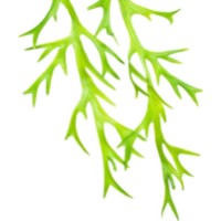 Floare decorativă Casa Masa 110cm (HG16) imaginea #2 — magazin online Desire.md