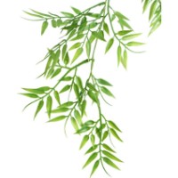 Floare decorativă Casa Masa 113cm (HG01) imaginea #2 — magazin online Desire.md