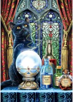 Puzzle Trefl Premium Plus Magic Collection 1000pcs (10898)