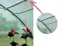 Seră GardenLine TUN5552 3x2x2m imaginea #4 — magazin online Desire.md