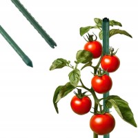 Seră GardenLine TUN5552 3x2x2m imaginea #5 — magazin online Desire.md