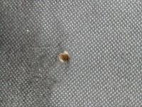 Marfă depreciată! Scaun gaming Xenos Numa Gray imaginea #4 — magazin online Desire.md