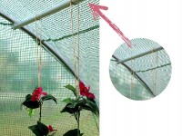 Seră GardenLine TUN5583 4x2.5x2m imaginea #8 — magazin online Desire.md