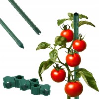 Seră GardenLine TUN5613 6x3x2m imaginea #7 — magazin online Desire.md