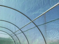 Seră GardenLine TUN3903 8x4x2m imaginea #8 — magazin online Desire.md