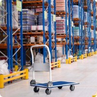 Carucior cu platforma GardenLine REA2811 imaginea #3 — magazin online Desire.md