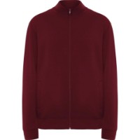 Hanorac pentru bărbați Roly Ulan 6439 Garnet, s.XL imaginea #1 — magazin online Desire.md