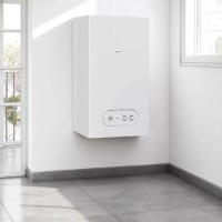 Газовый котел Parma 22 RSI NG фото №3 — интернет-магазин Desire.md