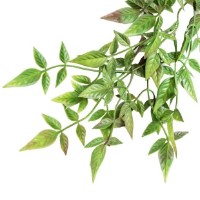 Floare decorativă Casa Masa 118cm (HG17) imaginea #2 — magazin online Desire.md