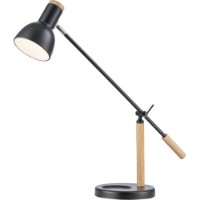 Настольная лампа Flitz Leuchten Table (FL971-1T)